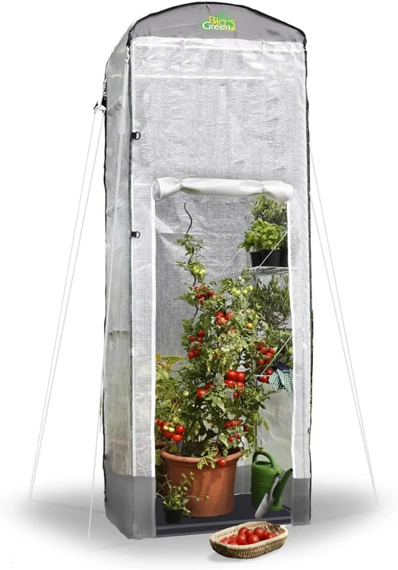 Gewächshaus, Bio Green Foliengewächshaus Patioflora 120 für Terrasse und Garten, L 120 x B 120 x H 300 cm, 4 Belüftungsöffnungen, UV-beständig